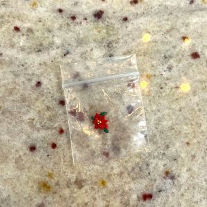 🚨2/$10‼️Poinsettia charm